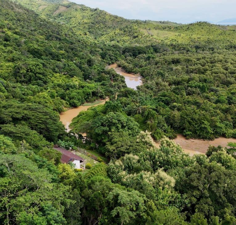 Madagascar, origin of Natural Mystic Aroma vanilla