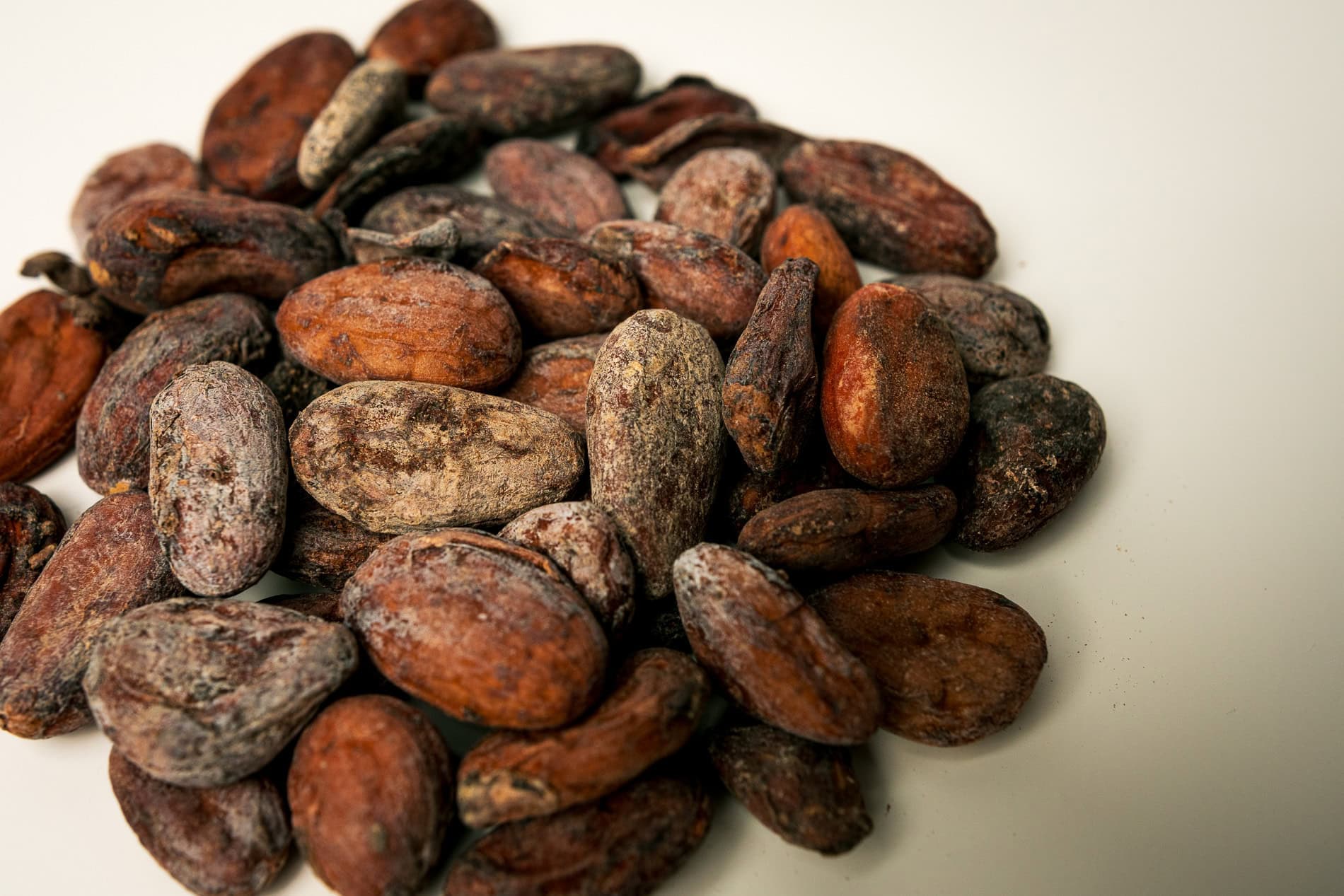 Madagascar Cocoa Beans – Trinitario Fine Flavour view 2