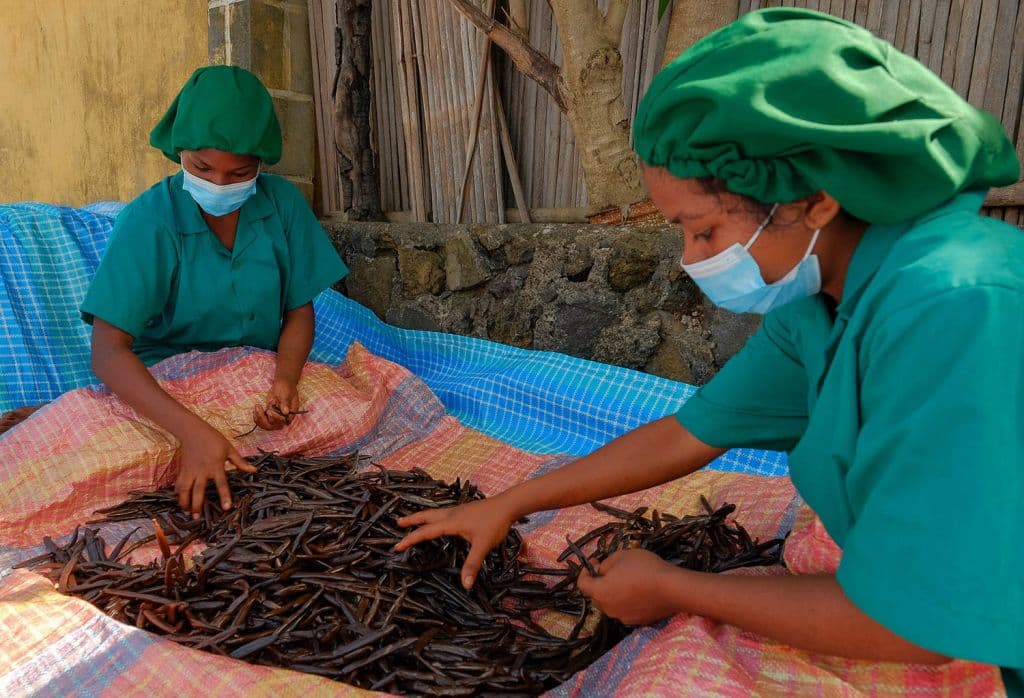 BIO / ORGANIC Bourbon Vanilla Powder – 0.5 kg Grade A