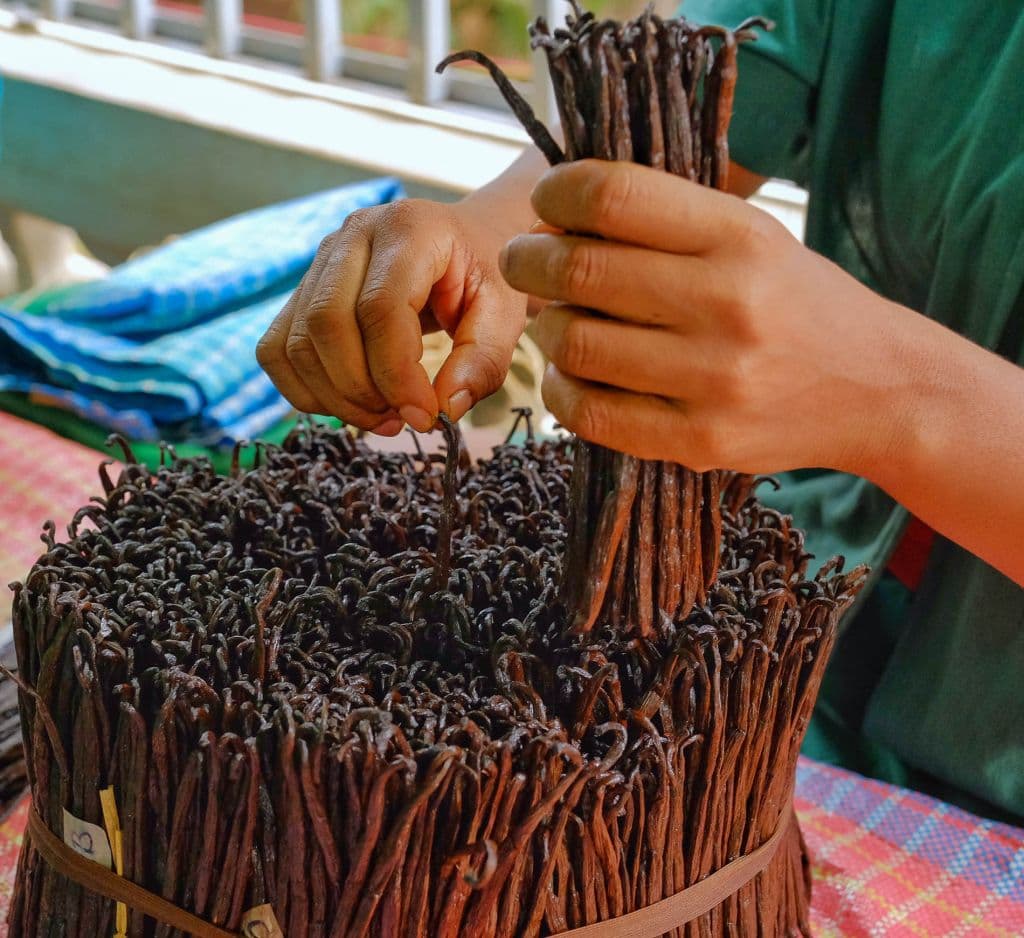 ESSENCE of Madagascar – Premium Bourbon Vanilla Collection in Glass Tubes